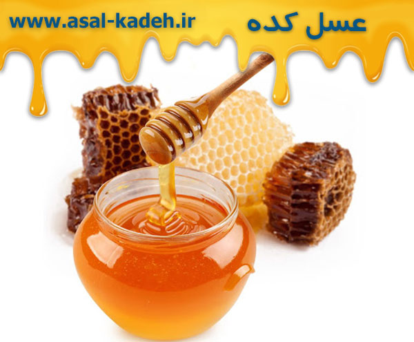 فروش عمده انواع عسل طبیعی در تهران