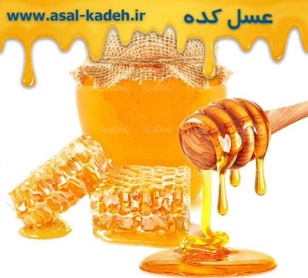خرید عمده عسل از تولید کننده