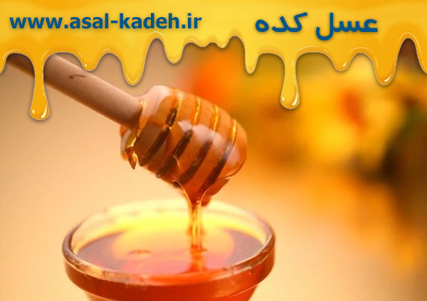 فروش عمده عسل ارگانيك با ارزان ترين قيمت در عسل كده
