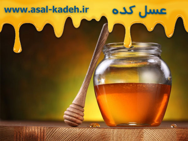مرکز عسل ایران - بزرگترین بازار پخش عمده عسل در تهران به قیمت زنبوردار