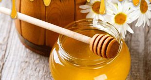خريد عمده عسل ارگانيك بدون واسطه از زنبوردار