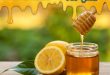 خرید و فروش عمده عسل طبیعی
