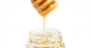 قيمت فروش عمده عسل طبيعي گشنيز