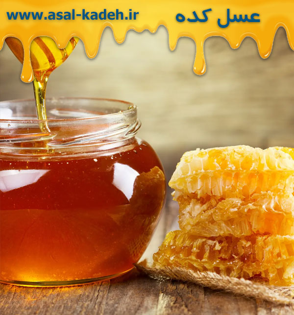 خرید عسل طبیعی و 100% خالص به صورت عمده مستقیم از تولید کننده