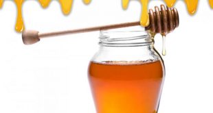 خريد عسل چهل گیاه طبيعي به قيمت عمده در مركز فروش عسل ايران