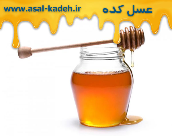 خرید عسل چهل گیاه طبیعی به قیمت عمده در مرکز فروش عسل ایران