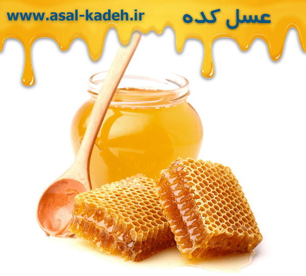 خرید عمده عسل ارگانیک بدون واسطه از تولید کننده در عسل کده